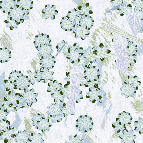 Item #159000081 Media