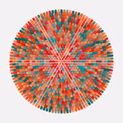 Transitions #2257