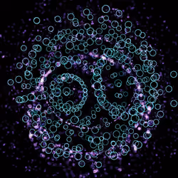 Cosmic Reef #625