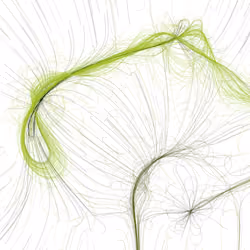 Phototaxis #121
