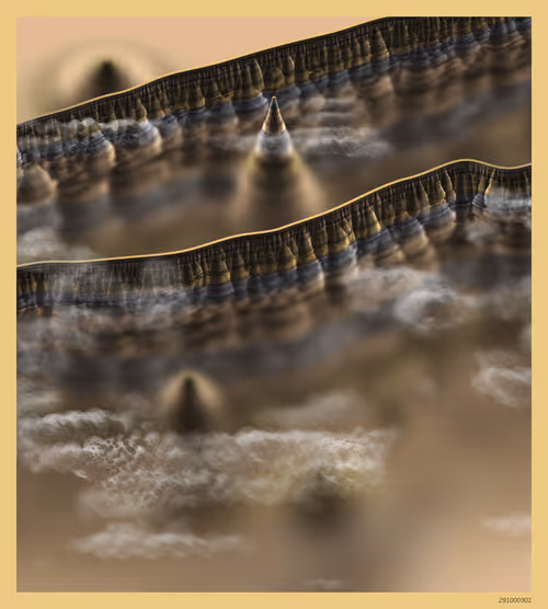 Item #291000301 Media