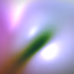 Flux #402