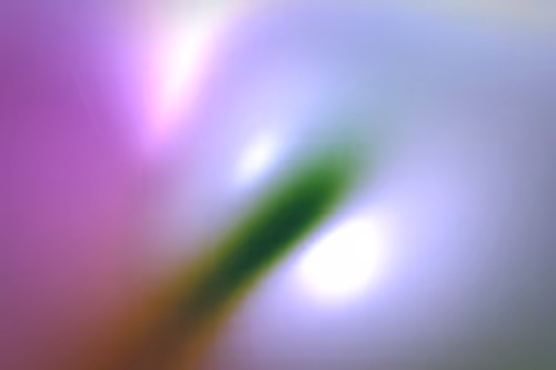 Item #296000402 Media