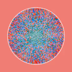 Transitions #1343