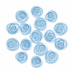 Flowers #3522