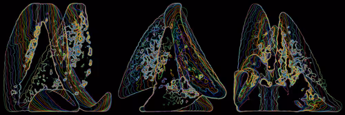 Item #302000077 Media