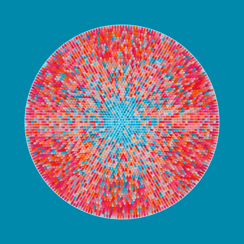 Transitions #1328