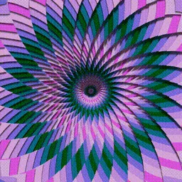 Item #225000415 Media