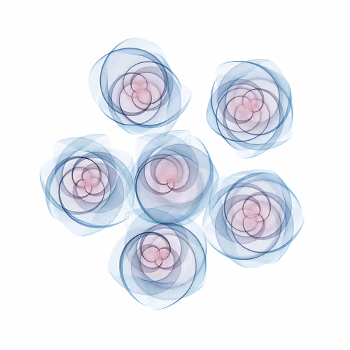 Flowers #6124