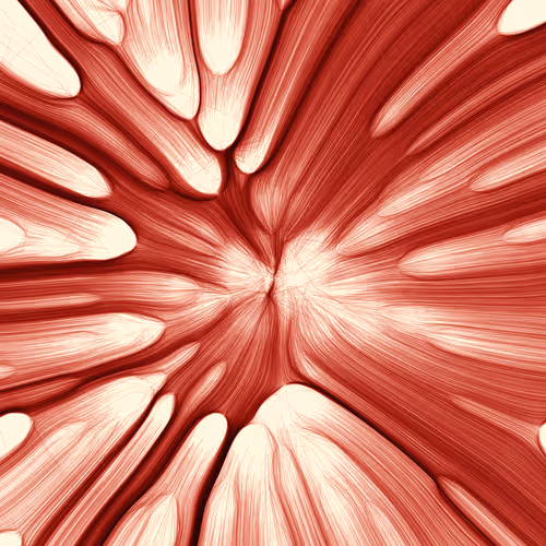 Item #96000336 Media