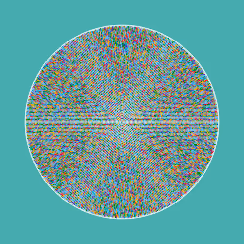 Transitions By Jason Ting X Matt Bilfield