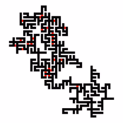 Invasion Percolation #346