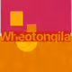 261000170