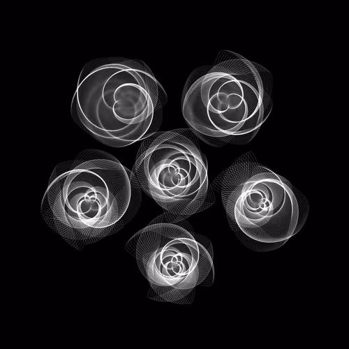 Flowers #4012