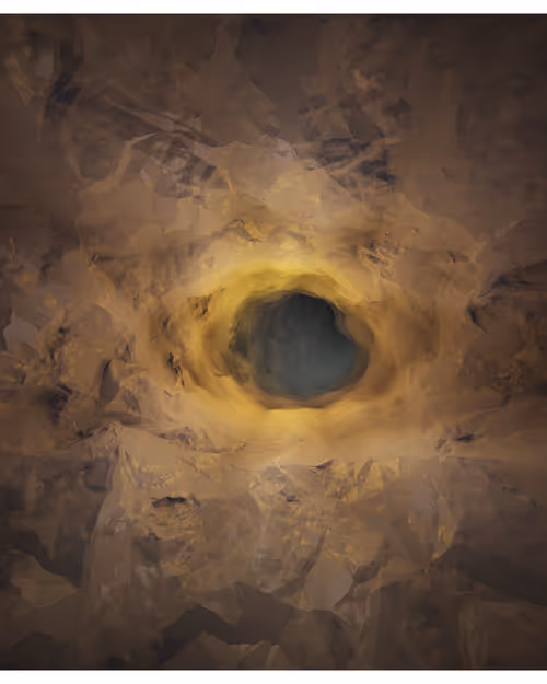 Item #217000480 Media