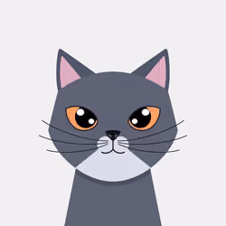 CatBlocks #312