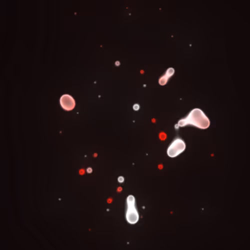 Item #62000119 Media