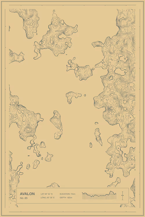 Item #347000085 Media