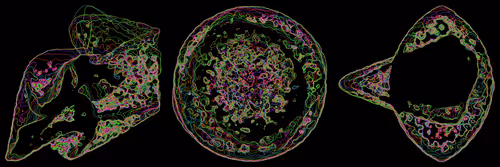 Item #302000205 Media