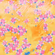 Fragments of an Infinite Field #419