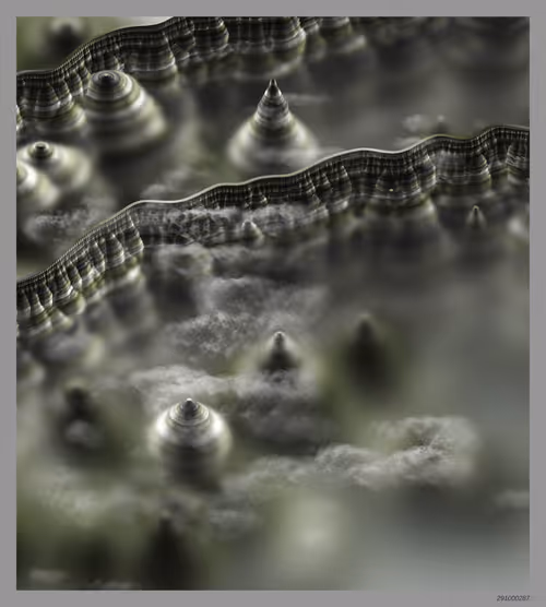 Item #291000287 Media