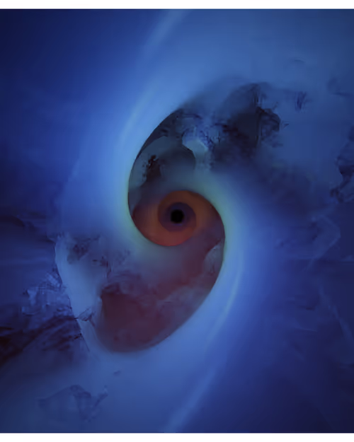 Item #217000380 Media