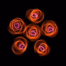Flowers #140