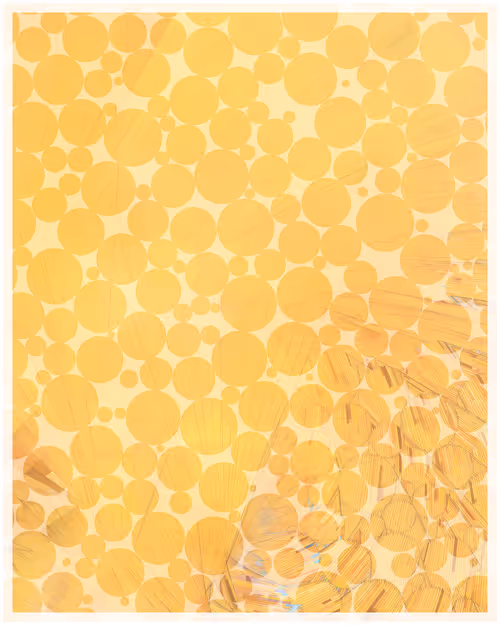 Item #344000111 Media