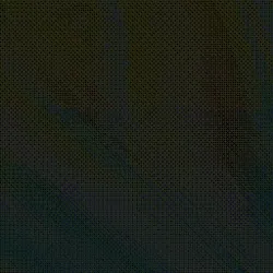 phase #334