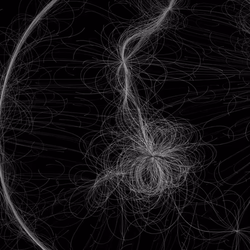 Phototaxis #996
