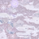 159000826