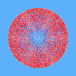Transitions #4428