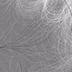 Phototaxis #268