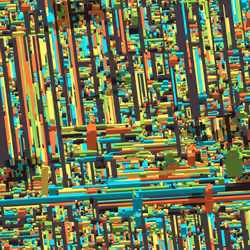Democracity #439