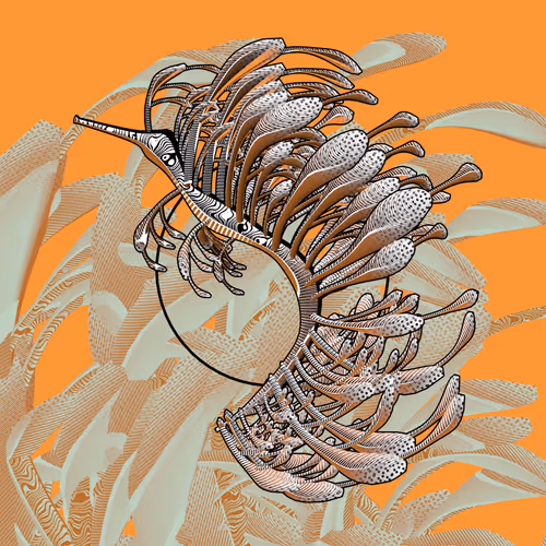 Seadragons #958