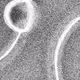 320000130