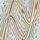 307000165