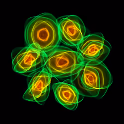 Flowers #5898