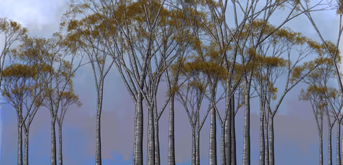 Item #254000085 Media