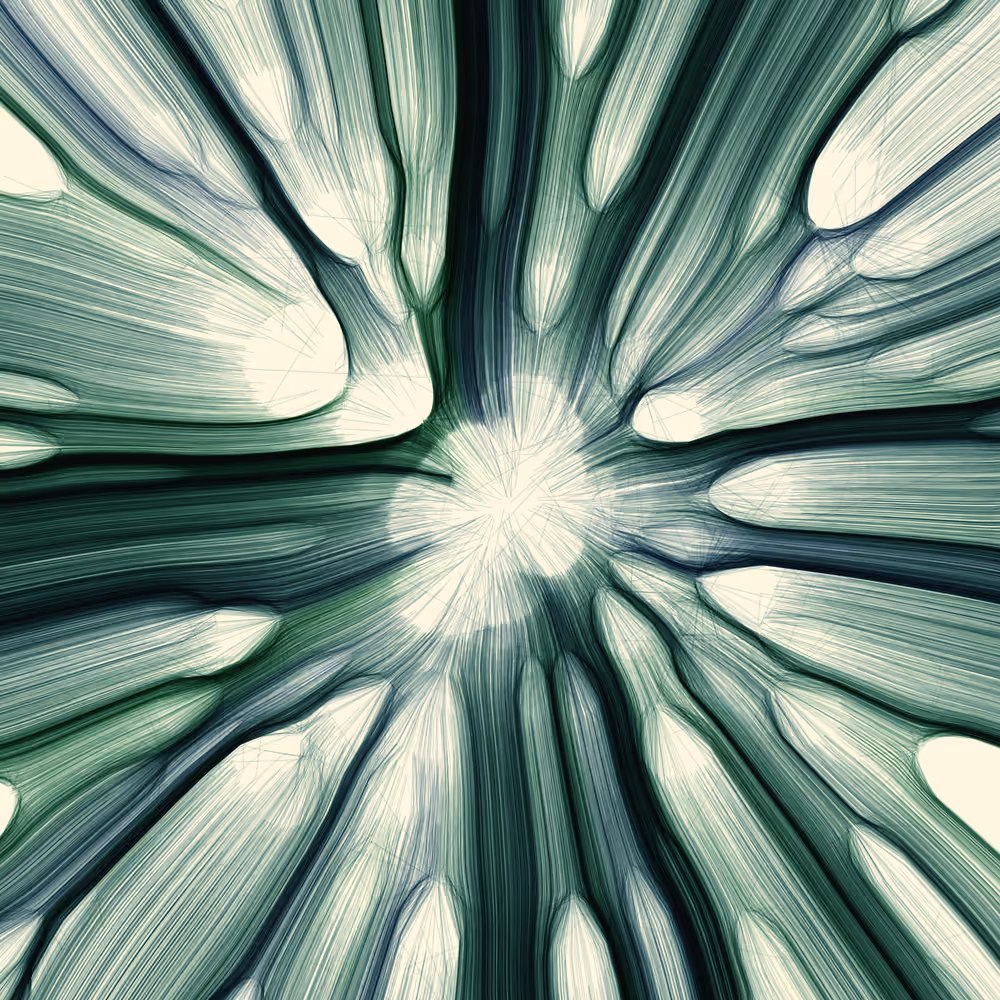 Gravity 12 #494