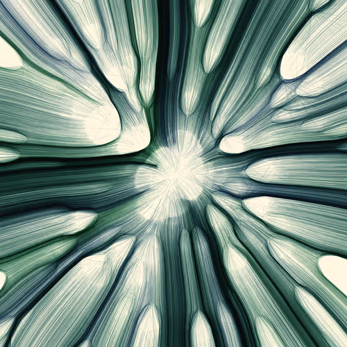 Gravity 12 #494