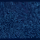235000104