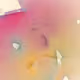 256000516