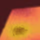 42000281