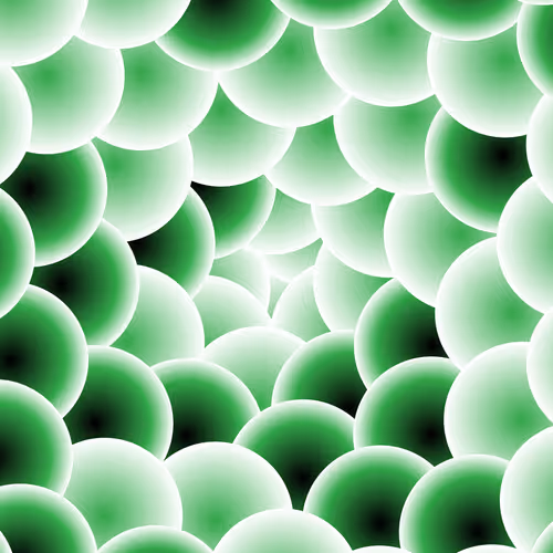 Item #260000096 Media