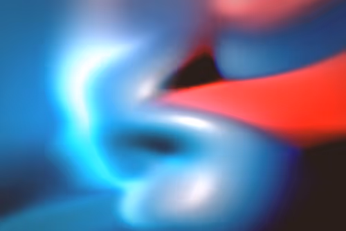 Item #296000040 Media