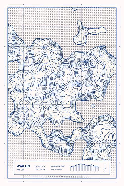 Item #347000078 Media