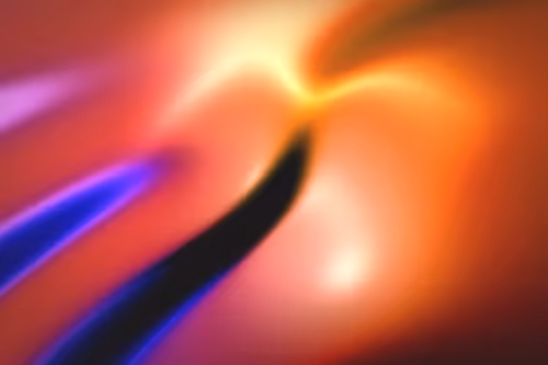 Item #296000450 Media