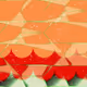 278000837