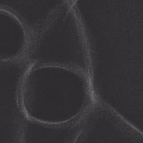 Item #320000176 Media